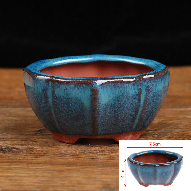 Echeveria Succulent - أصيص زهور سيراميك صغير بونساي ،
