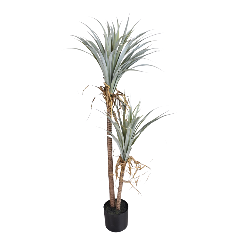 دم التنين يوكا نبات اصطناعي شج - مراجعة Dracaena Marginata وسعره