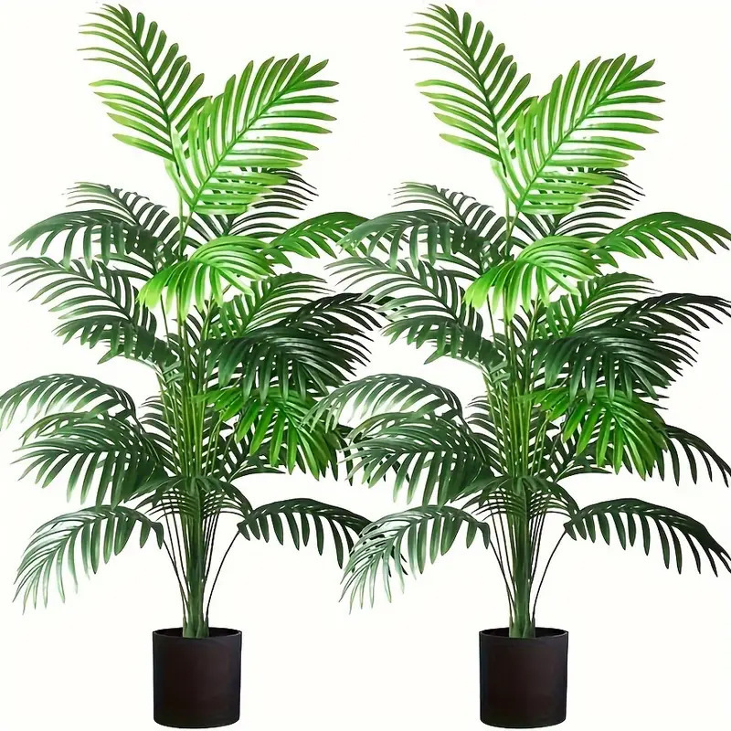 24 ورقة أريكا النخيل نباتات اص - مراجعة Dracaena Marginata وسعره