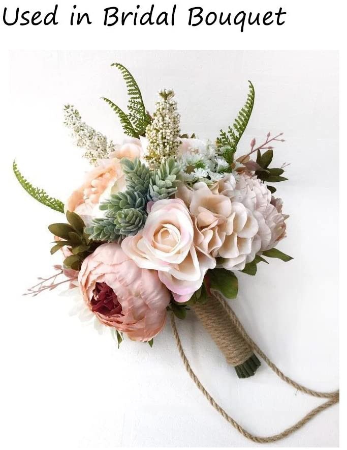 نباتات عصارية زخرفية صناعية ،  - مراجعة Echeveria Succulent وسعره