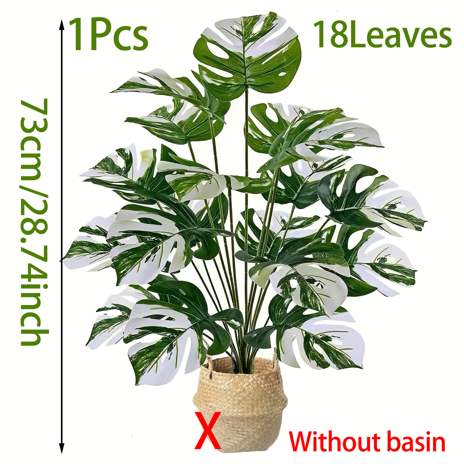 نبات مونستيرا الاصطناعي الواقع - مراجعة Dracaena Marginata وسعره