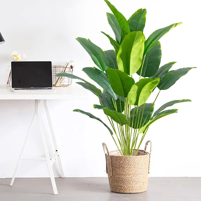 نبات اصطناعي واحد، شجرة نخيل ا - مراجعة Dracaena Marginata وسعره